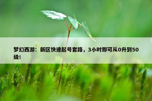 梦幻西游：新区快速起号套路，3小时即可从0升到50级！