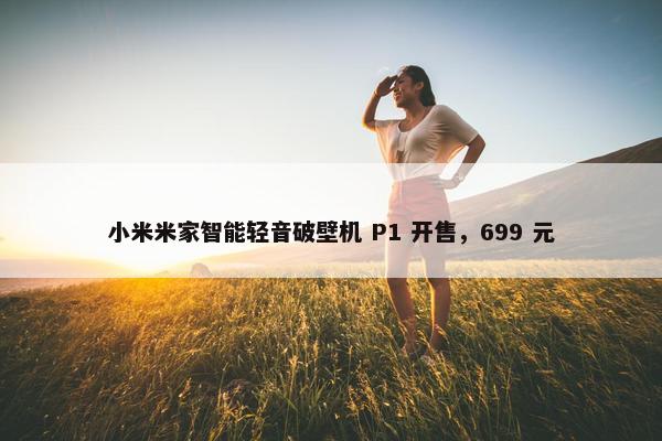 小米米家智能轻音破壁机 P1 开售，699 元