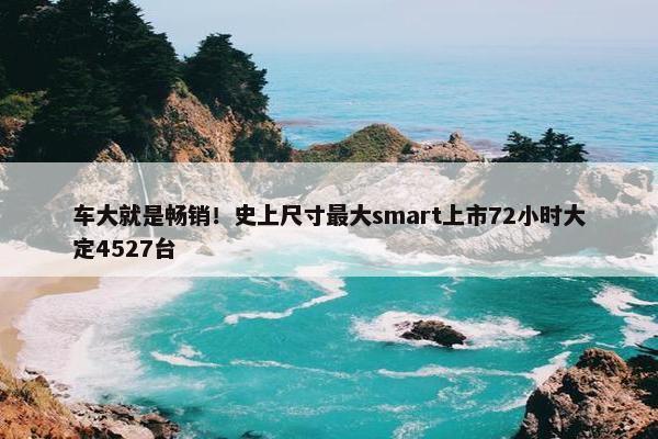 车大就是畅销！史上尺寸最大smart上市72小时大定4527台