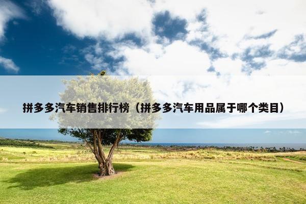 拼多多汽车销售排行榜（拼多多汽车用品属于哪个类目）