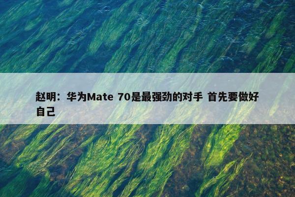 赵明：华为Mate 70是最强劲的对手 首先要做好自己