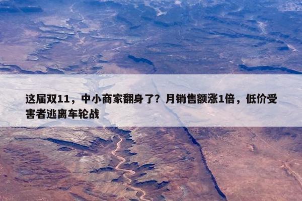 这届双11，中小商家翻身了？月销售额涨1倍，低价受害者逃离车轮战