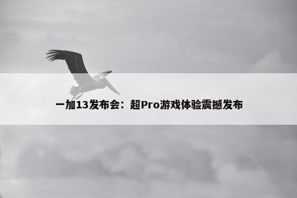 一加13发布会：超Pro游戏体验震撼发布