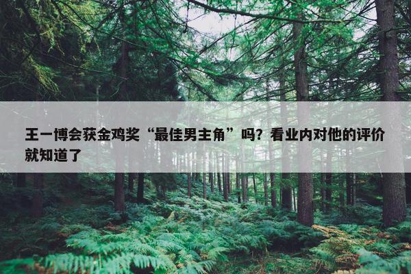 王一博会获金鸡奖“最佳男主角”吗？看业内对他的评价就知道了