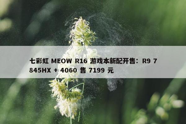 七彩虹 MEOW R16 游戏本新配开售：R9 7845HX + 4060 售 7199 元