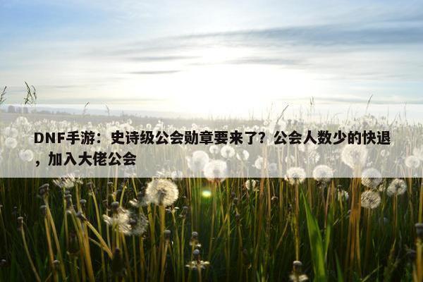 DNF手游：史诗级公会勋章要来了？公会人数少的快退，加入大佬公会