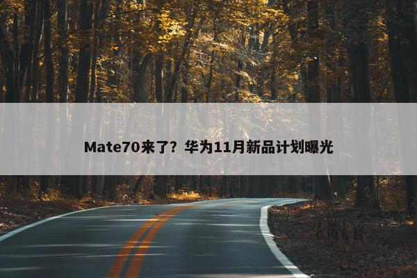 Mate70来了？华为11月新品计划曝光