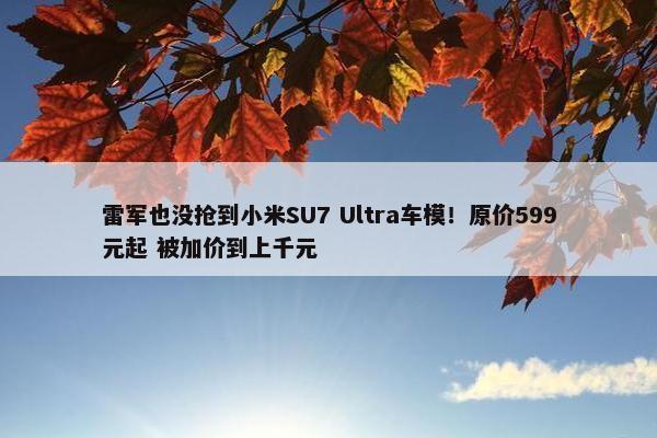 雷军也没抢到小米SU7 Ultra车模！原价599元起 被加价到上千元