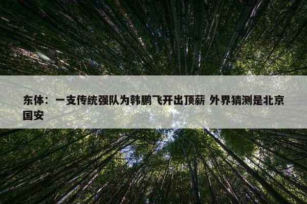 东体：一支传统强队为韩鹏飞开出顶薪 外界猜测是北京国安