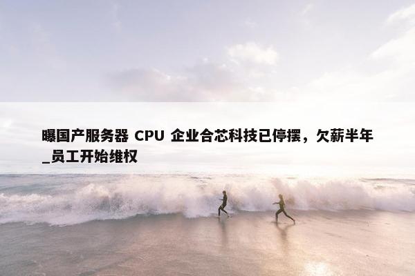 曝国产服务器 CPU 企业合芯科技已停摆，欠薪半年_员工开始维权