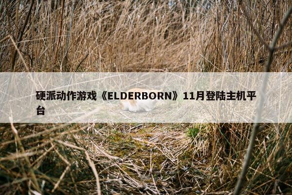 硬派动作游戏《ELDERBORN》11月登陆主机平台