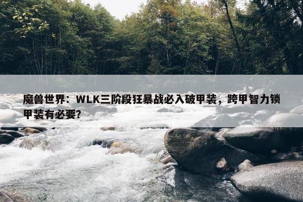 魔兽世界：WLK三阶段狂暴战必入破甲装，跨甲智力锁甲装有必要？