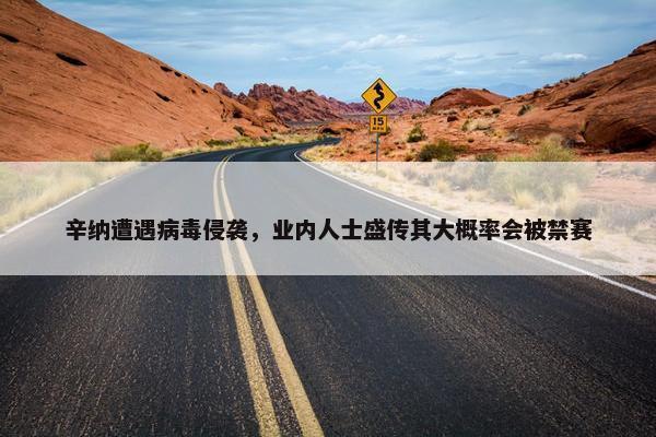 辛纳遭遇病毒侵袭，业内人士盛传其大概率会被禁赛