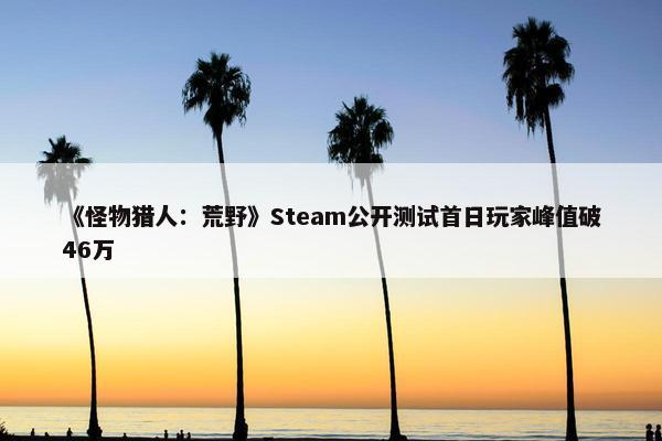 《怪物猎人：荒野》Steam公开测试首日玩家峰值破46万