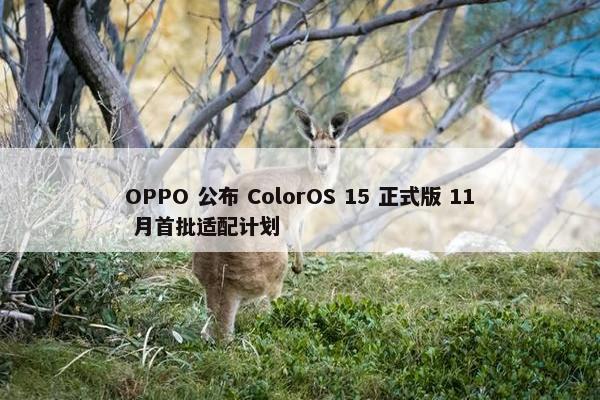 OPPO 公布 ColorOS 15 正式版 11 月首批适配计划