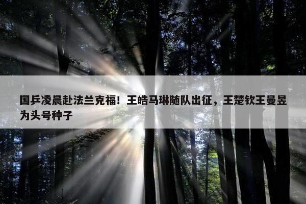 国乒凌晨赴法兰克福！王皓马琳随队出征，王楚钦王曼昱为头号种子