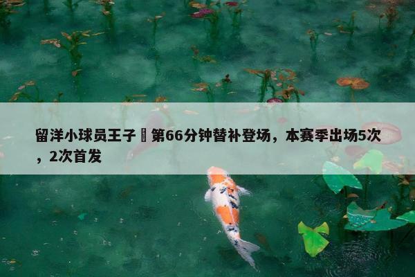 留洋小球员王子偲第66分钟替补登场，本赛季出场5次，2次首发