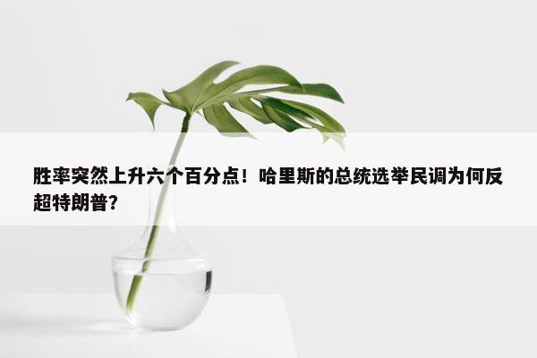 胜率突然上升六个百分点！哈里斯的总统选举民调为何反超特朗普？