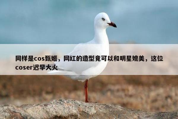 同样是cos甄姬，网红的造型竟可以和明星媲美，这位coser迟早大火