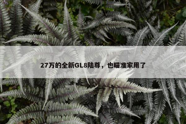 27万的全新GL8陆尊，也瞄准家用了