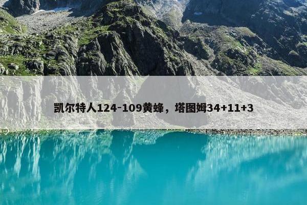 凯尔特人124-109黄蜂，塔图姆34+11+3