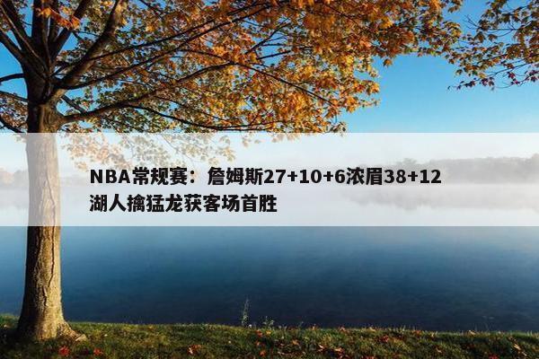 NBA常规赛：詹姆斯27+10+6浓眉38+12 湖人擒猛龙获客场首胜