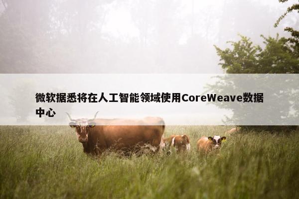 微软据悉将在人工智能领域使用CoreWeave数据中心