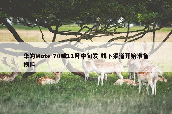 华为Mate 70或11月中旬发 线下渠道开始准备物料