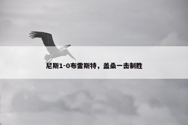 尼斯1-0布雷斯特，盖桑一击制胜