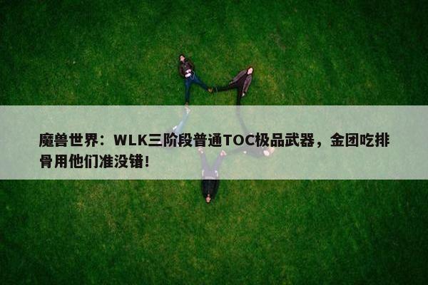 魔兽世界：WLK三阶段普通TOC极品武器，金团吃排骨用他们准没错！