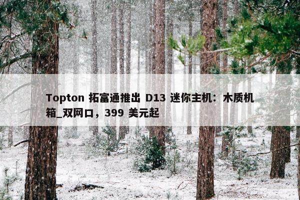 Topton 拓富通推出 D13 迷你主机：木质机箱_双网口，399 美元起