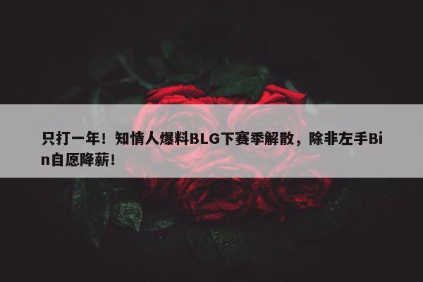 只打一年！知情人爆料BLG下赛季解散，除非左手Bin自愿降薪！