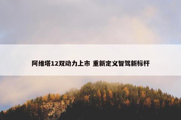 阿维塔12双动力上市 重新定义智驾新标杆