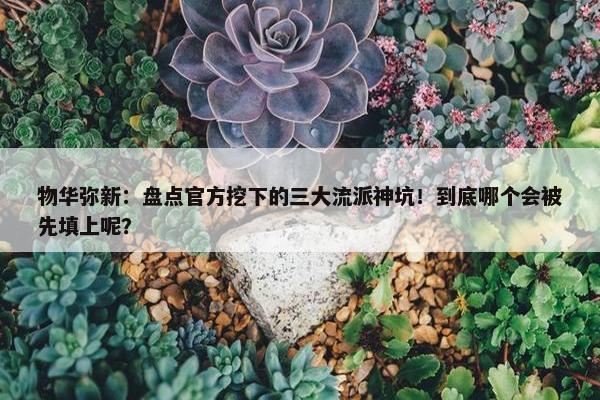 物华弥新：盘点官方挖下的三大流派神坑！到底哪个会被先填上呢？