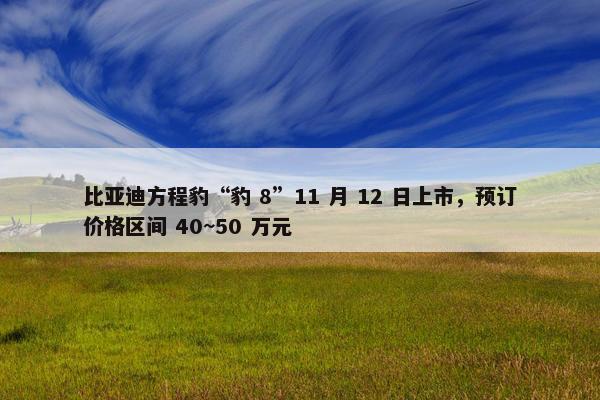 比亚迪方程豹“豹 8”11 月 12 日上市，预订价格区间 40~50 万元