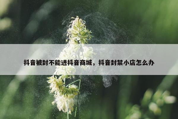 抖音被封不能进抖音商城，抖音封禁小店怎么办