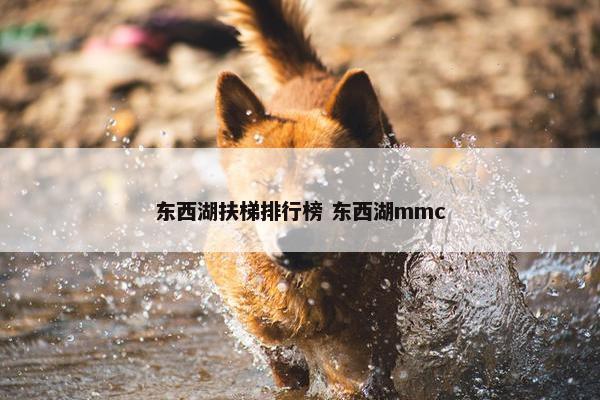 东西湖扶梯排行榜 东西湖mmc