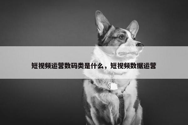 短视频运营数码类是什么，短视频数据运营