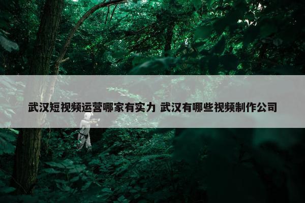 武汉短视频运营哪家有实力 武汉有哪些视频制作公司