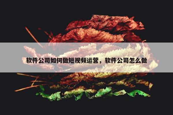 软件公司如何做短视频运营，软件公司怎么做