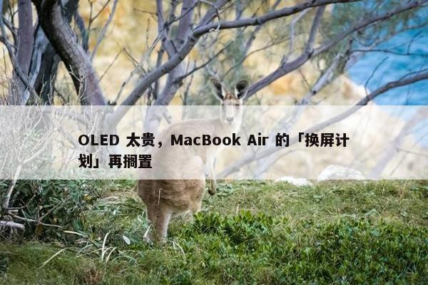 OLED 太贵，MacBook Air 的「换屏计划」再搁置