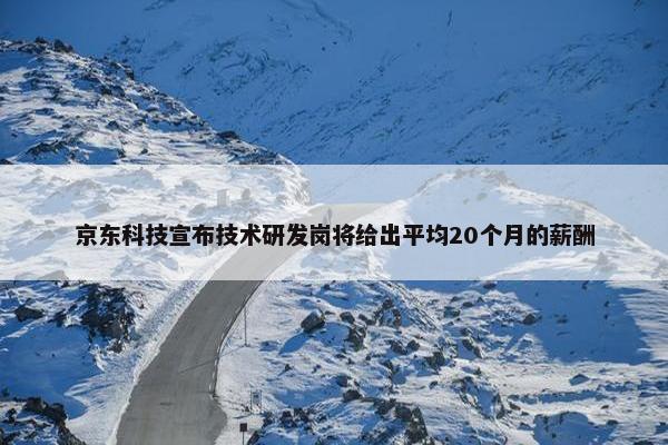 京东科技宣布技术研发岗将给出平均20个月的薪酬