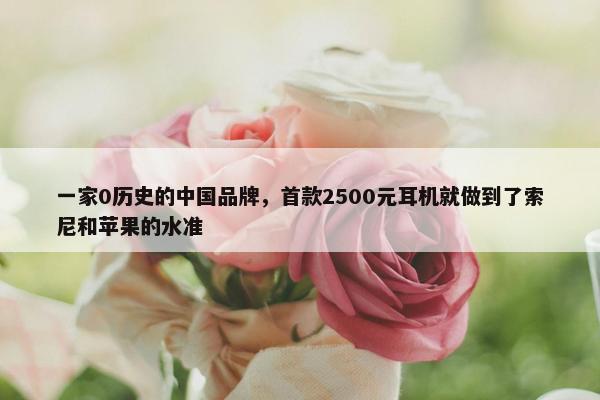 一家0历史的中国品牌，首款2500元耳机就做到了索尼和苹果的水准