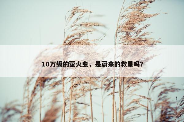 10万级的萤火虫，是蔚来的救星吗？