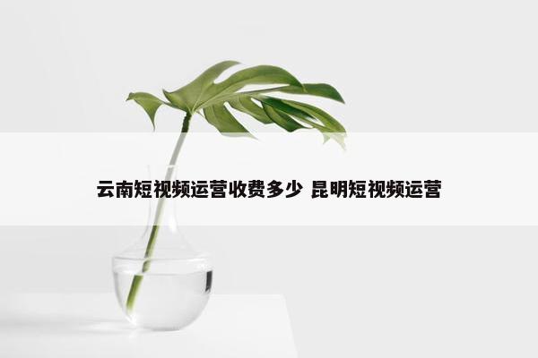 云南短视频运营收费多少 昆明短视频运营