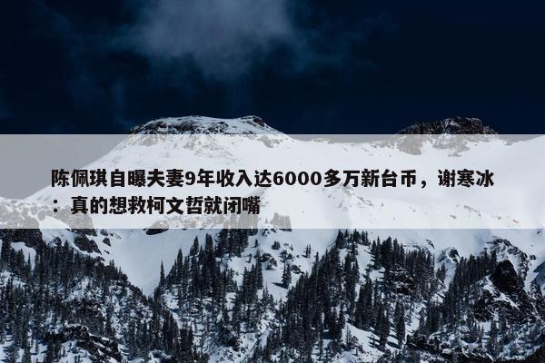 陈佩琪自曝夫妻9年收入达6000多万新台币，谢寒冰：真的想救柯文哲就闭嘴