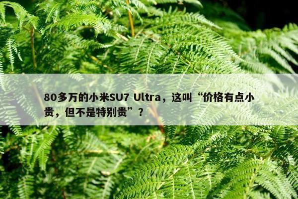 80多万的小米SU7 Ultra，这叫“价格有点小贵，但不是特别贵”？