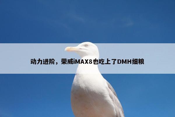 动力进阶，荣威iMAX8也吃上了DMH细粮