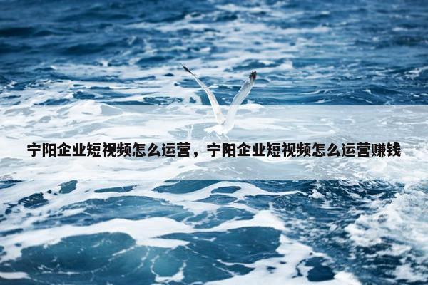 宁阳企业短视频怎么运营，宁阳企业短视频怎么运营赚钱