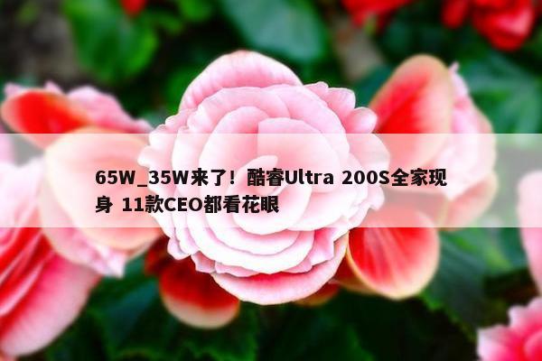 65W_35W来了！酷睿Ultra 200S全家现身 11款CEO都看花眼